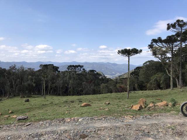 Chacara Urubici - Foto 4