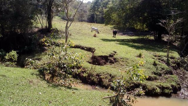 Sítio a venda - Foto 13