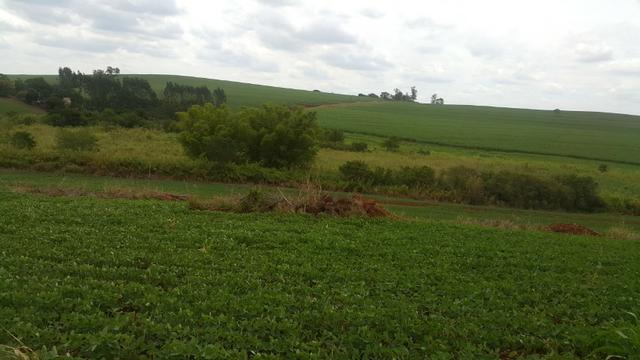 Terra rocha boa p/plantios agricola e criame de peixe etc - Foto 11