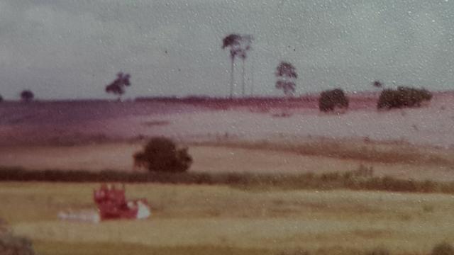 Terra rocha boa p/plantios agricola e criame de peixe etc - Foto 19