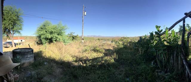 Sitio a venda em Quixadá - Foto 5