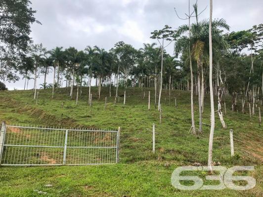 Chácara à venda com 3 dormitórios em Vila nova, Joinville cod:01028884 - Foto 15