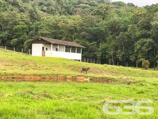 Chácara à venda com 3 dormitórios em Vila nova, Joinville cod:01028884 - Foto 6