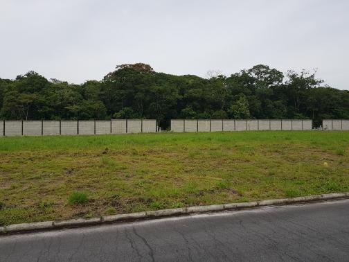 Galpão/depósito/armazém à venda em Reta, São francisco do sul cod:FT255 - Foto 18