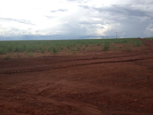 Fazenda 3.533 há - Foto 14