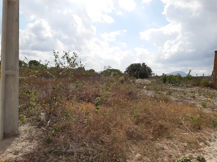 Terreno em Itapipoca/CE - Foto 3