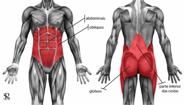Roda Para Exercícios Abdominais E Core Ziva - Foto 2