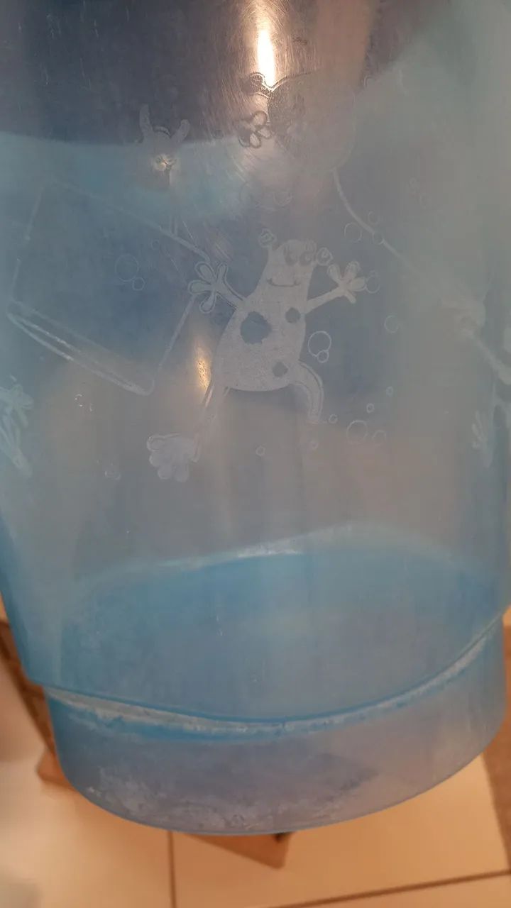 Eufuror azul - Foto 6