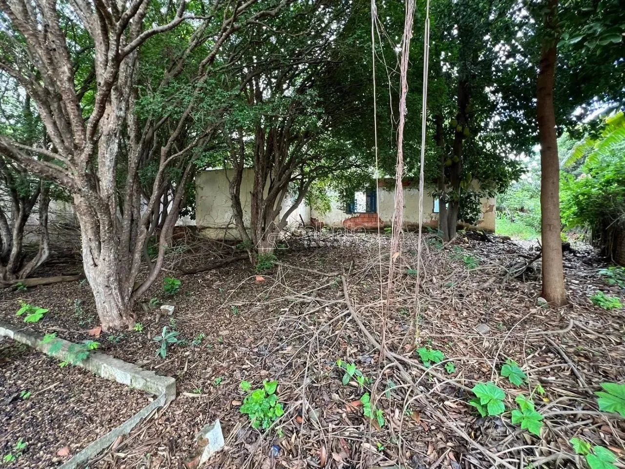 terreno - Chácara Boa Vista - Campinas - Foto 3