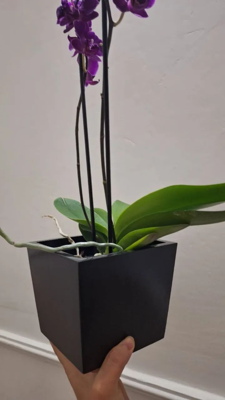 CACHEPOT em MDF - Foto 3