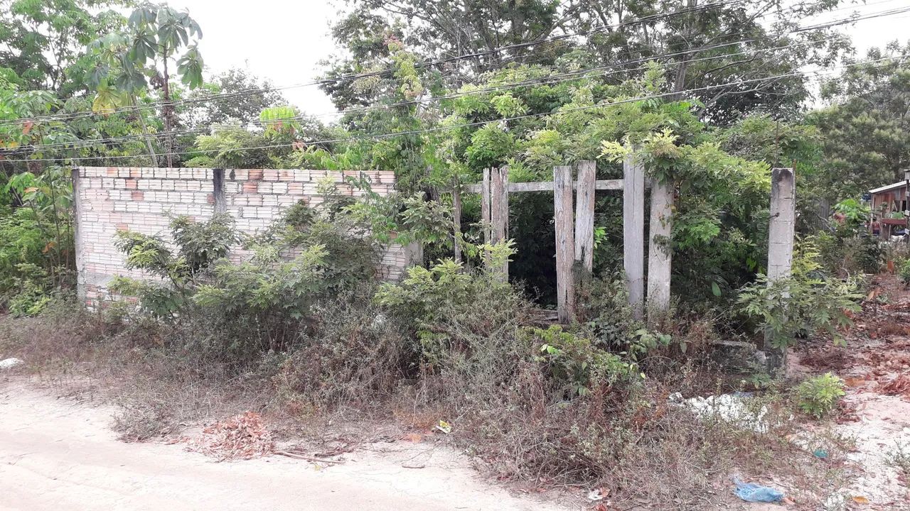 LIMPEZA DE TERRENOS EM GERAL  - Foto 2