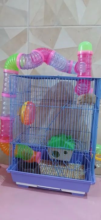 2 Gaiolas para 2 Hamsters com Acessórios - Foto 4