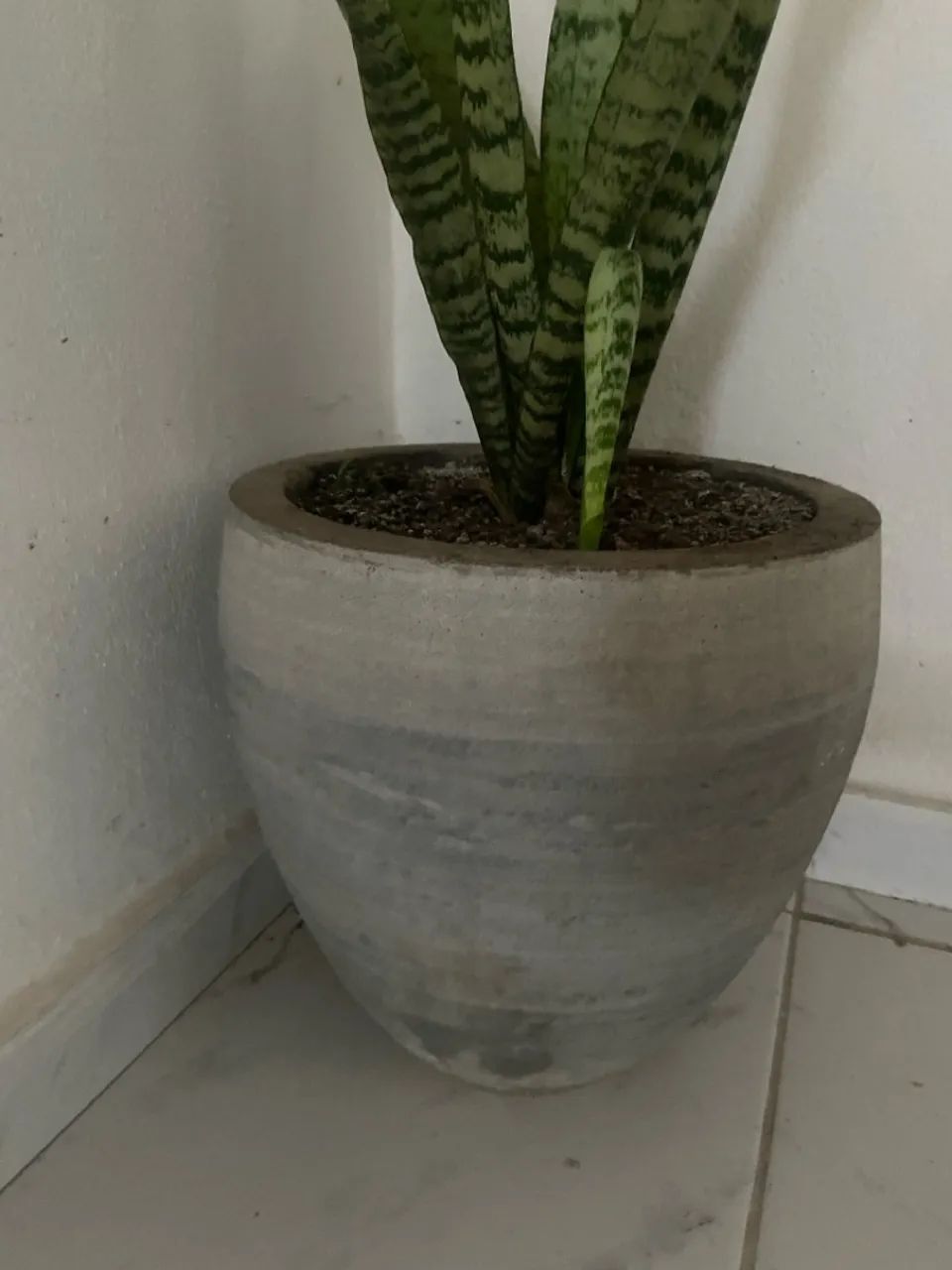 Vaso de cimento  - Foto 4