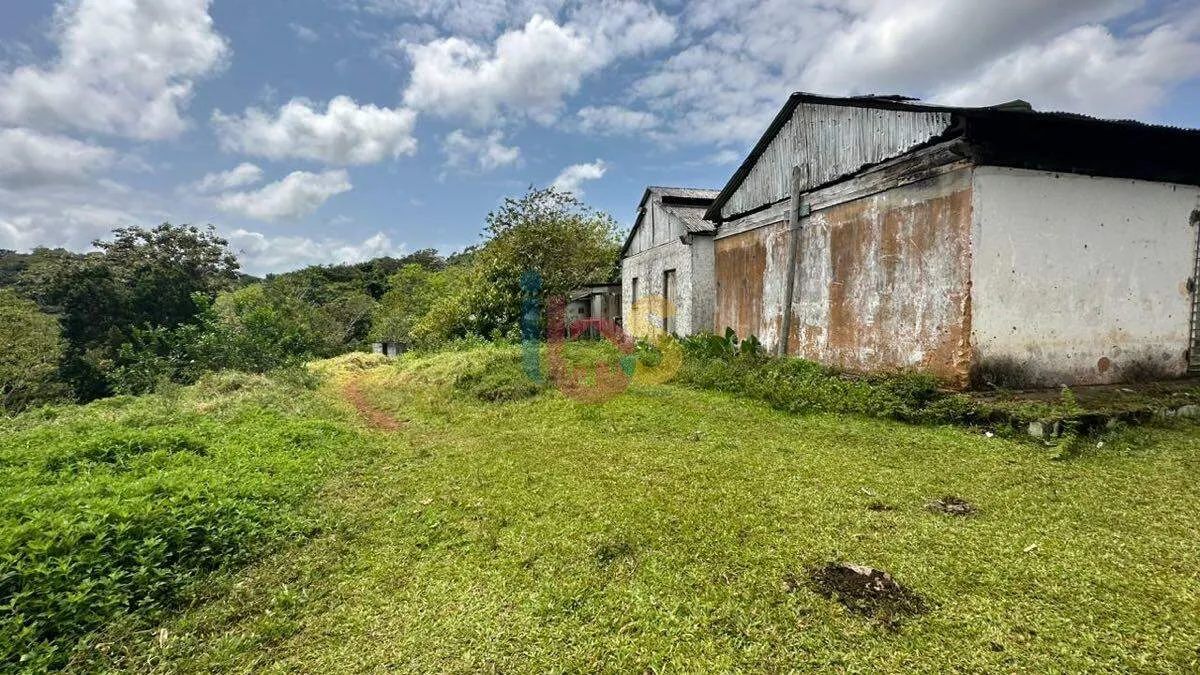 Vendo Fazenda em Ilhéus