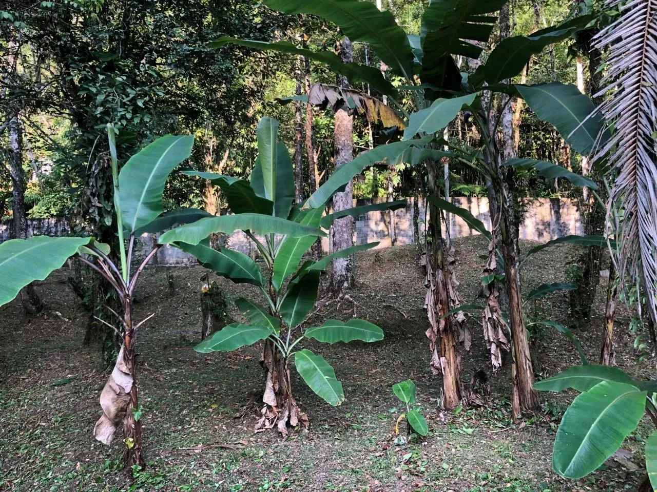 Chácara em Bertioga - Condomínio Parque Caiubura - Foto 2