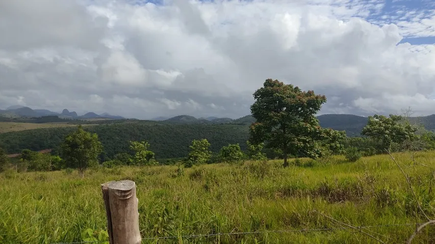 Imovel de 11 hectares  sem benfeitorias a 2 km do asfalto 