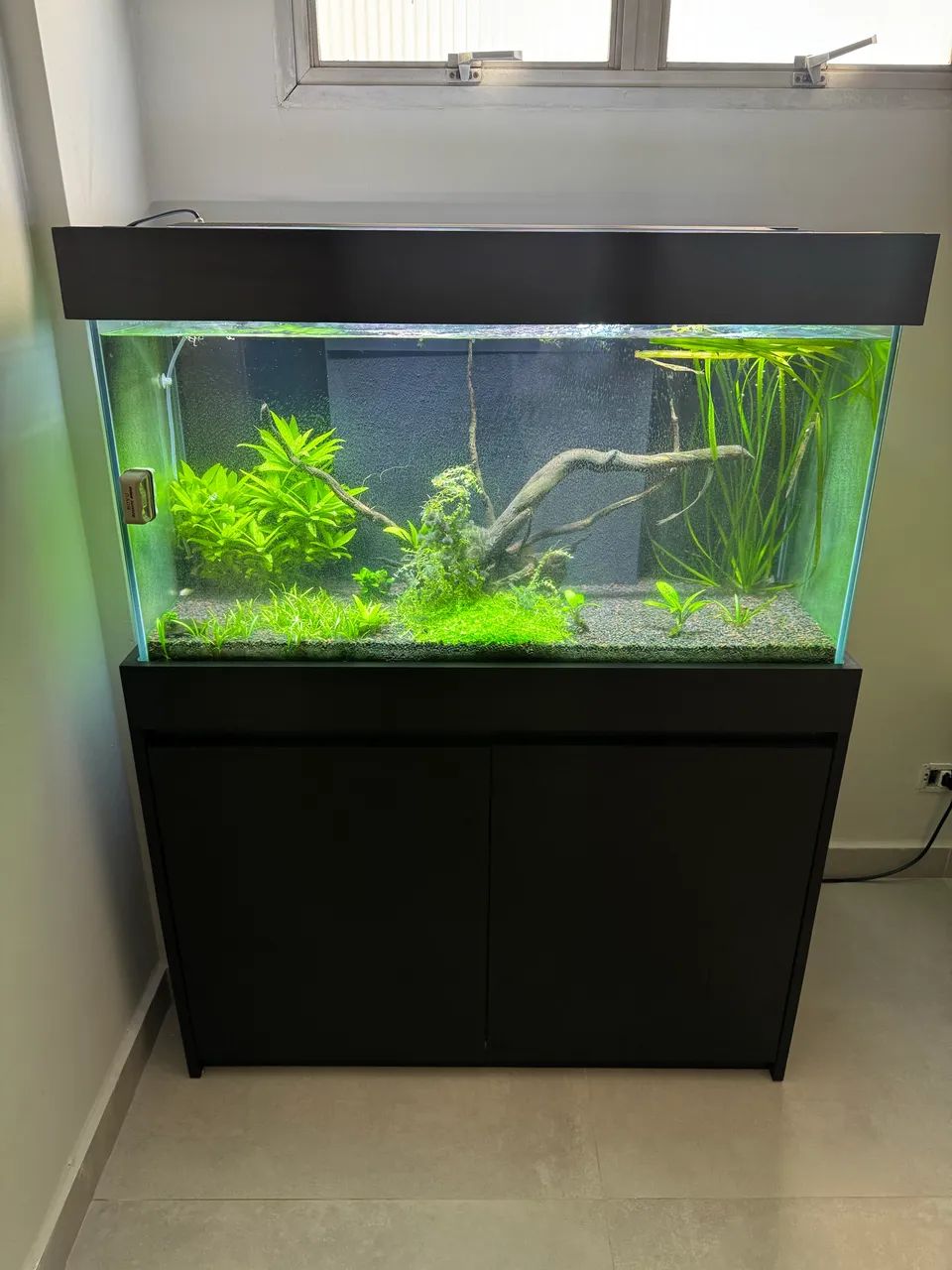Aquário 200 litros