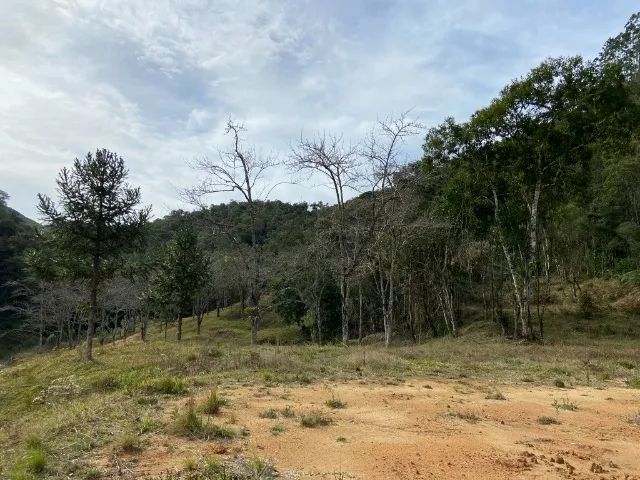 Terreno em Angelina Santa Catarina - Foto 3