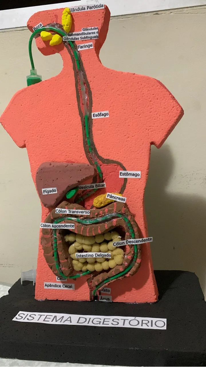 FAÇO MAQUETE ESCOLAR & TRABALHOS ESCOLARES - Foto 5