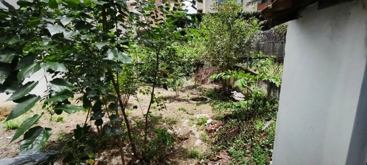 casa - Centro - Campinas - Foto 15