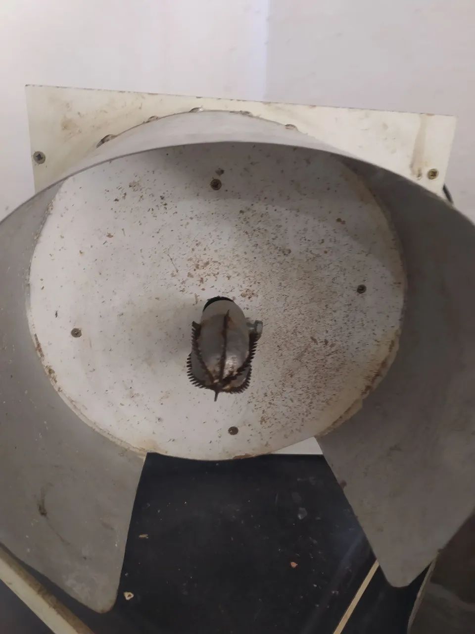 Ralador de côco  - Foto 3