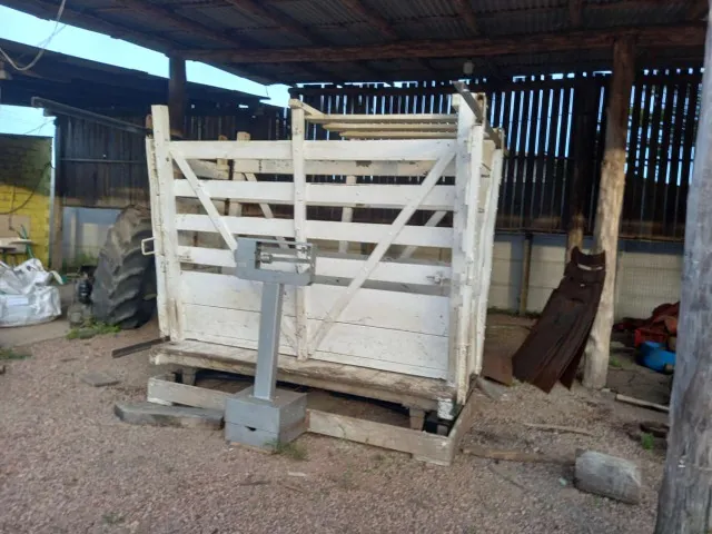 BALANÇA PARA PESAR ANIMAIS DE GRANDES PORTES EM ÓTIMO ESTADO