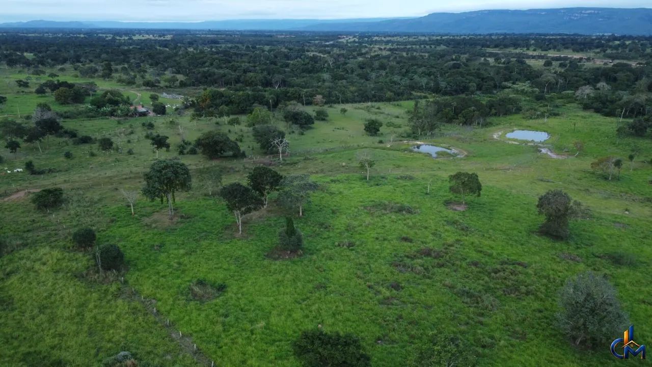 Fazenda em Cáceres - Foto 5