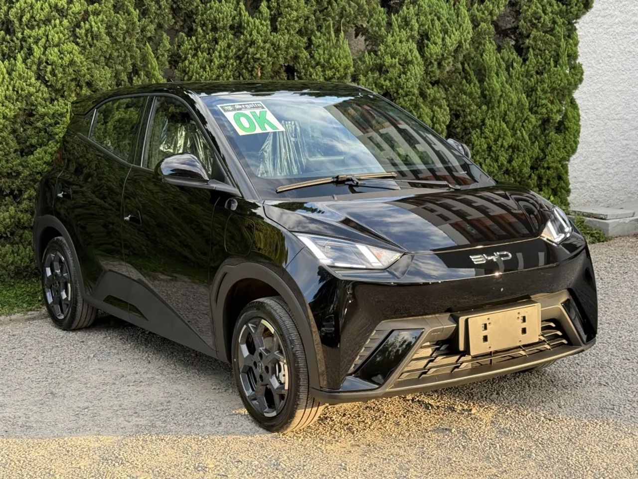 BYD Dolphin Mini (Elétrico) 2027 - Foto 3