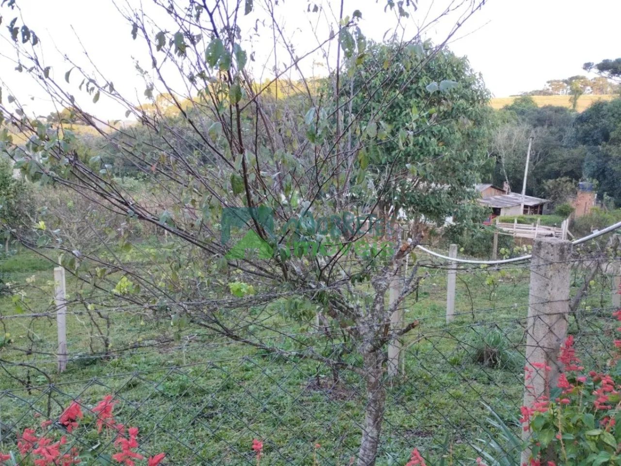 Terreno Lote - Foto 5