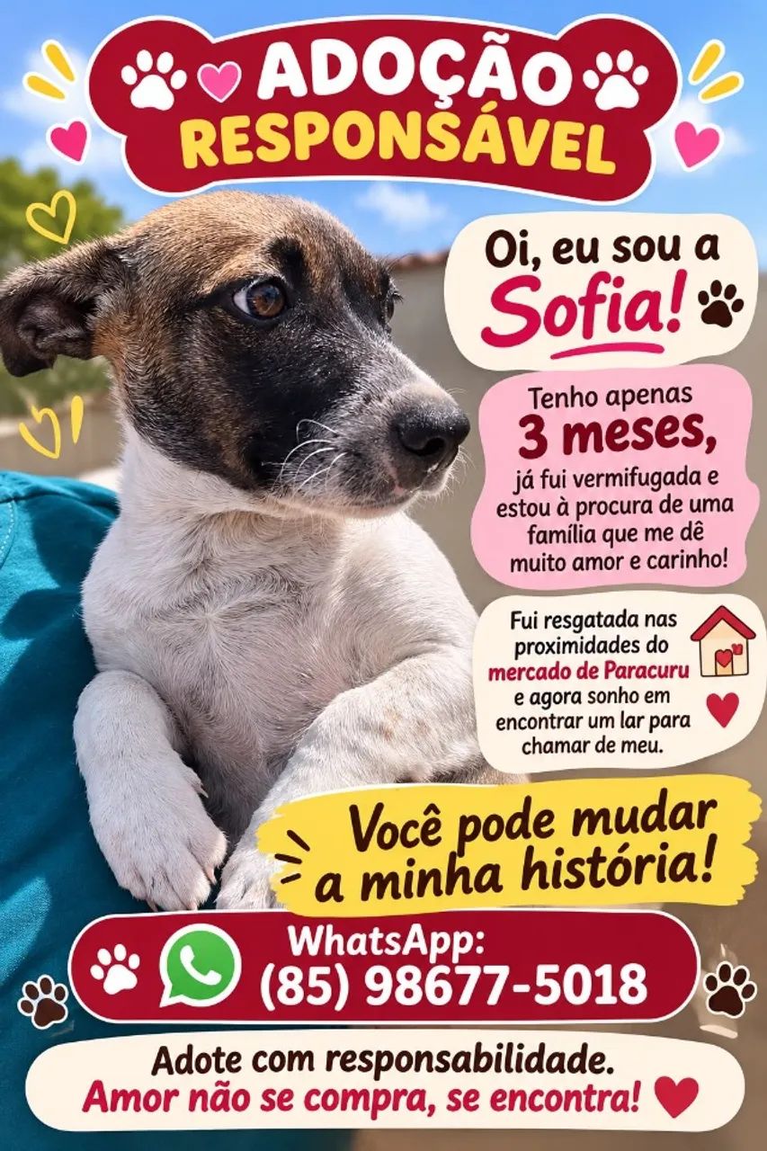 Adoção cachorro - filhote