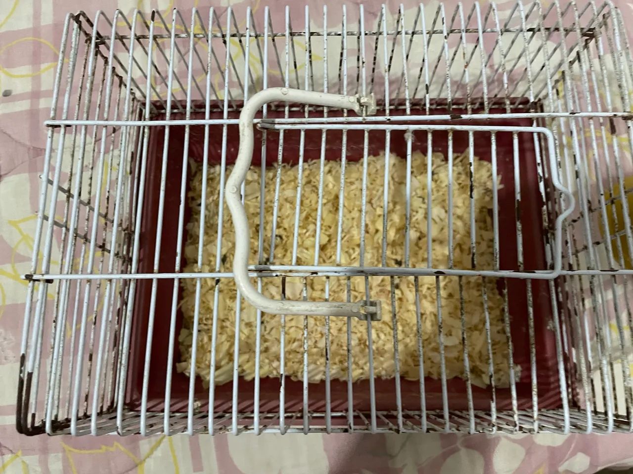 Gaiola pra hamster 65048997869953122