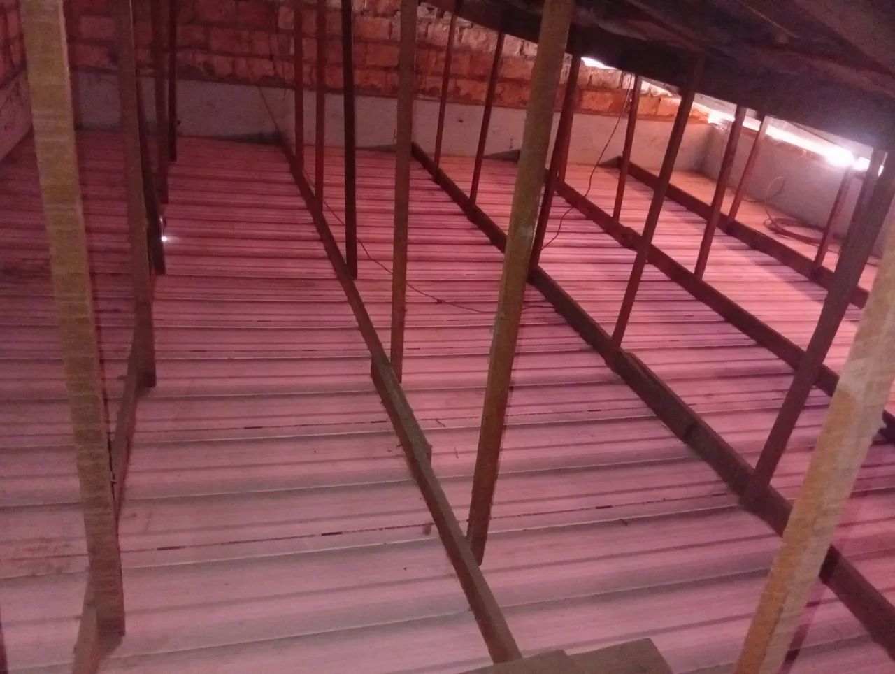 Dedetização, em geral contra Pragas  - Foto 4