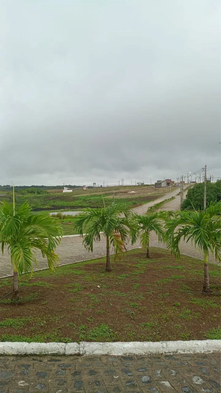 Fazenda real 2 - Repasse restando 81 parcelas  - Foto 4