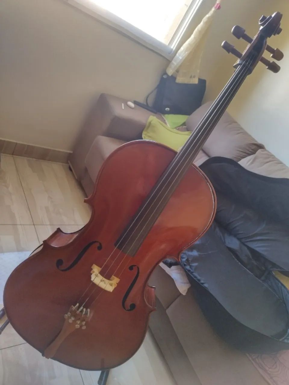 VIOLONCELLO EAGLE C3100