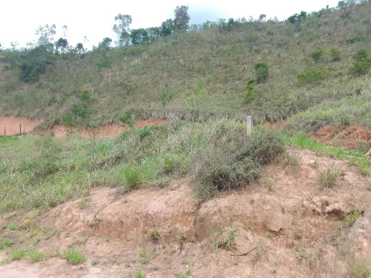 Terreno 15 x 50 mts ( BR 267) - Foto 3