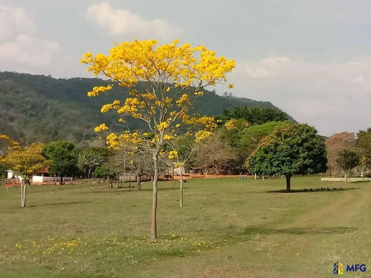 Sitio a Venda em Avaré SP - Foto 2