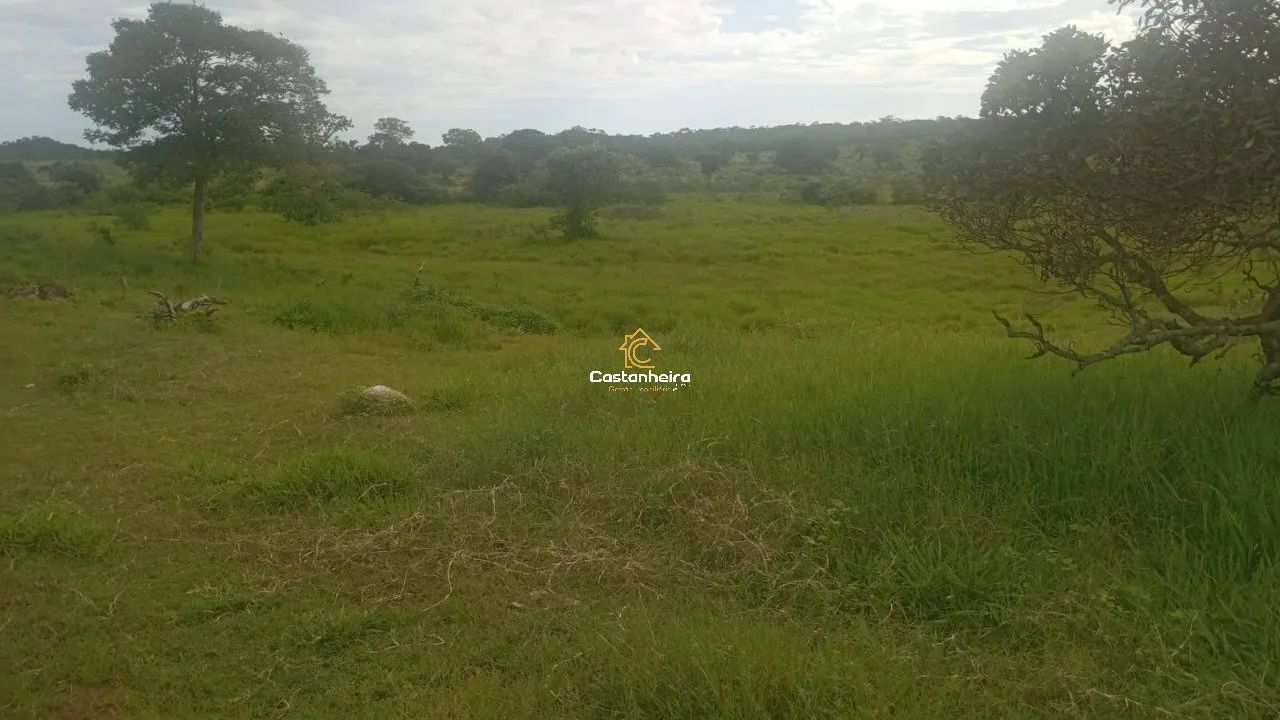 Fazenda - 239 alqueires - Lagoa do Tocantins