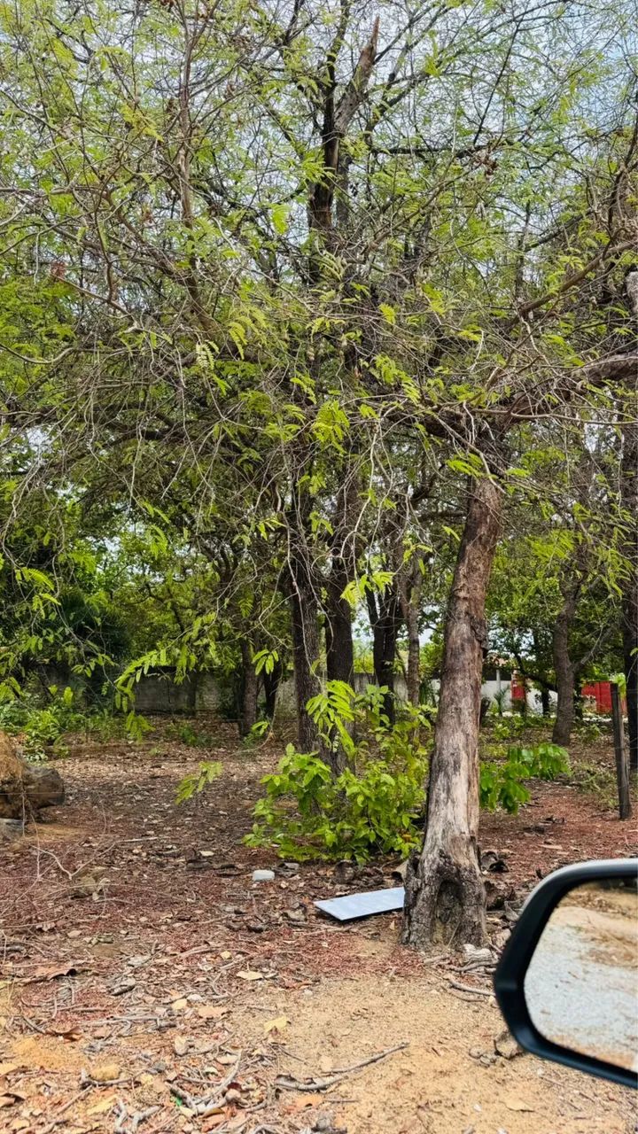 LOTE ARUANÃ JARDIM PAULISTA