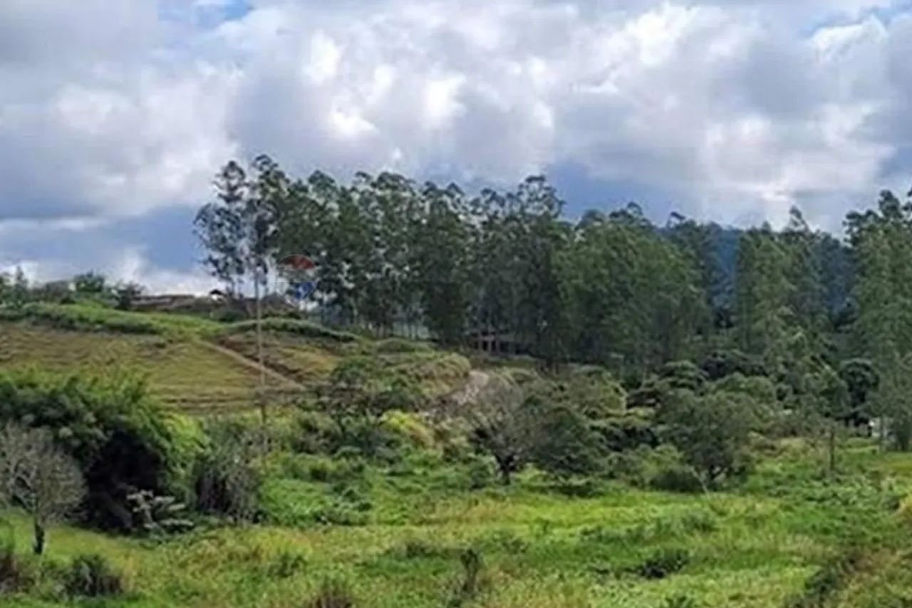 Terreno 20.000m2 a poucos minutos de Juiz de Fora - Foto 4