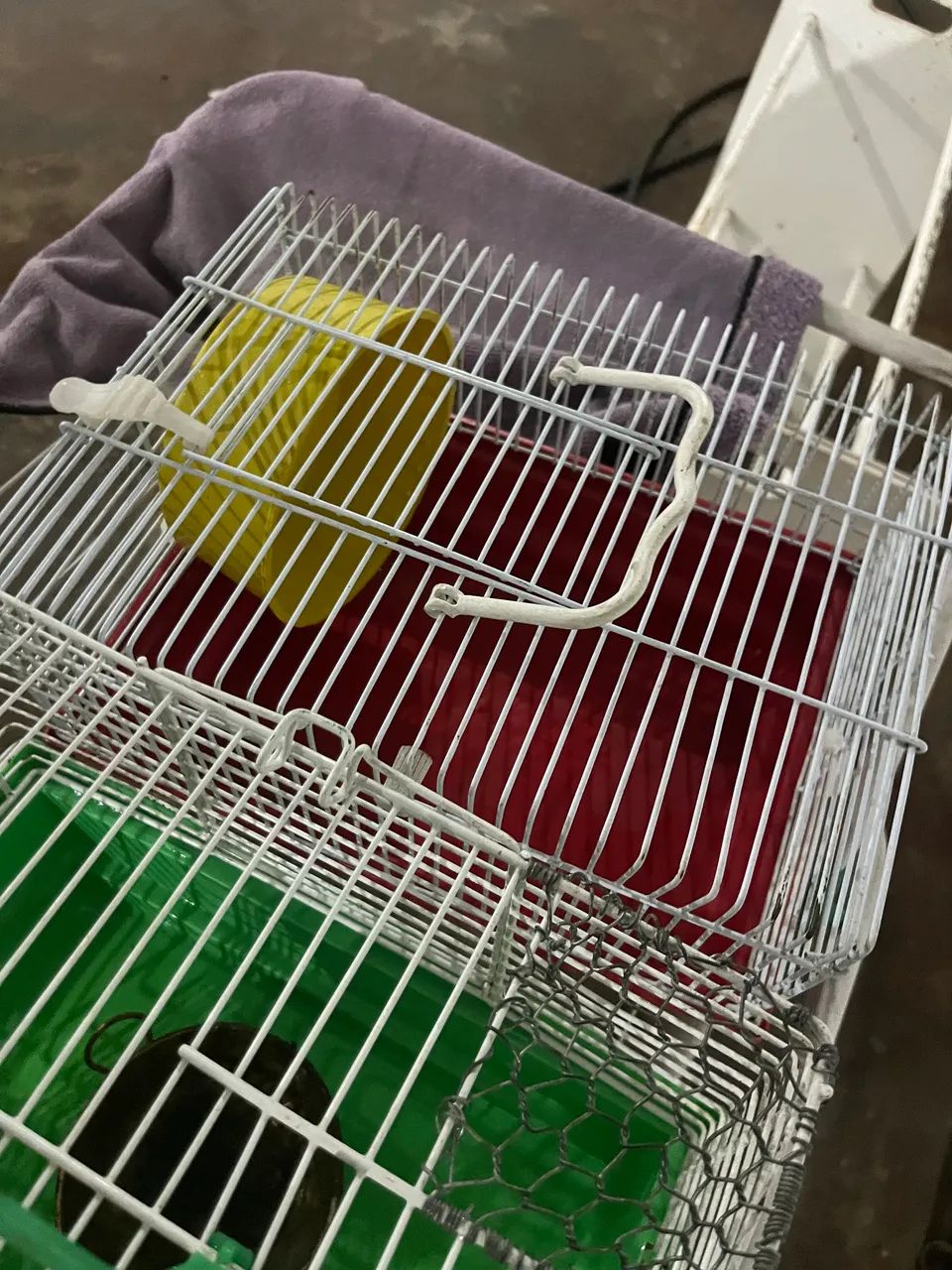 Cage65570202294019123