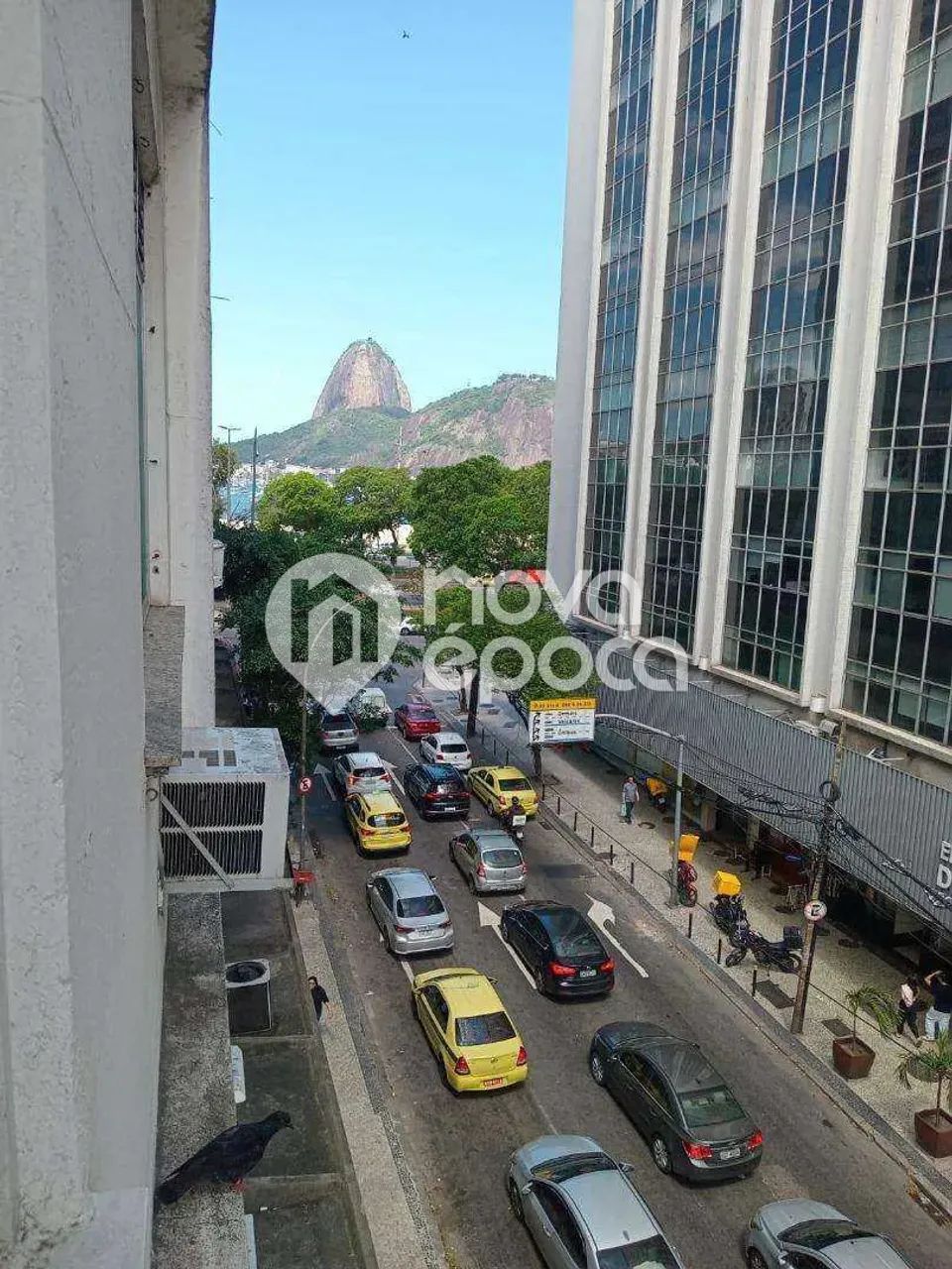 Botafogo | Conjugado