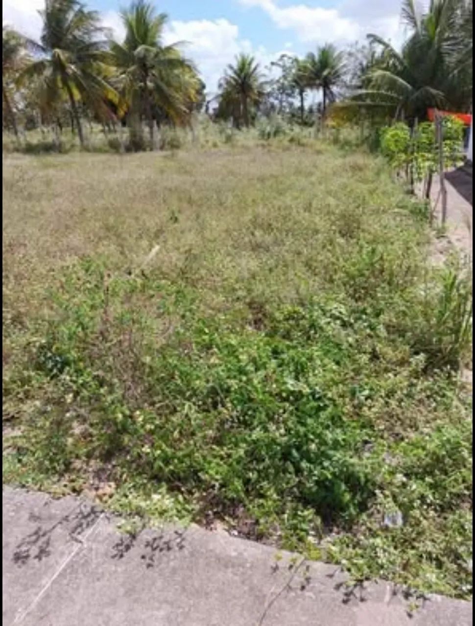 Terrenos em Riachão do Poço, Paraíba 