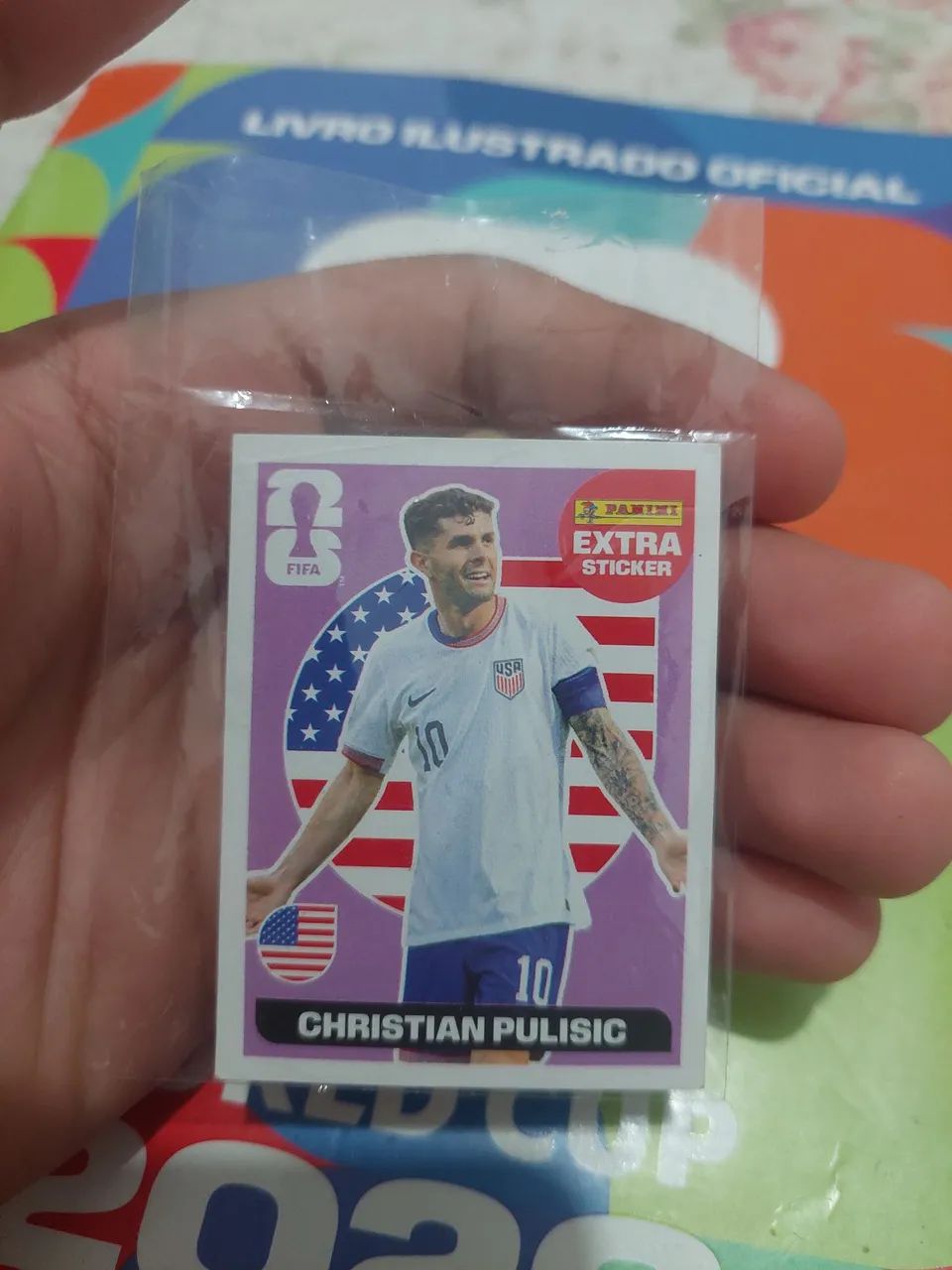 Legend pulisic roxa