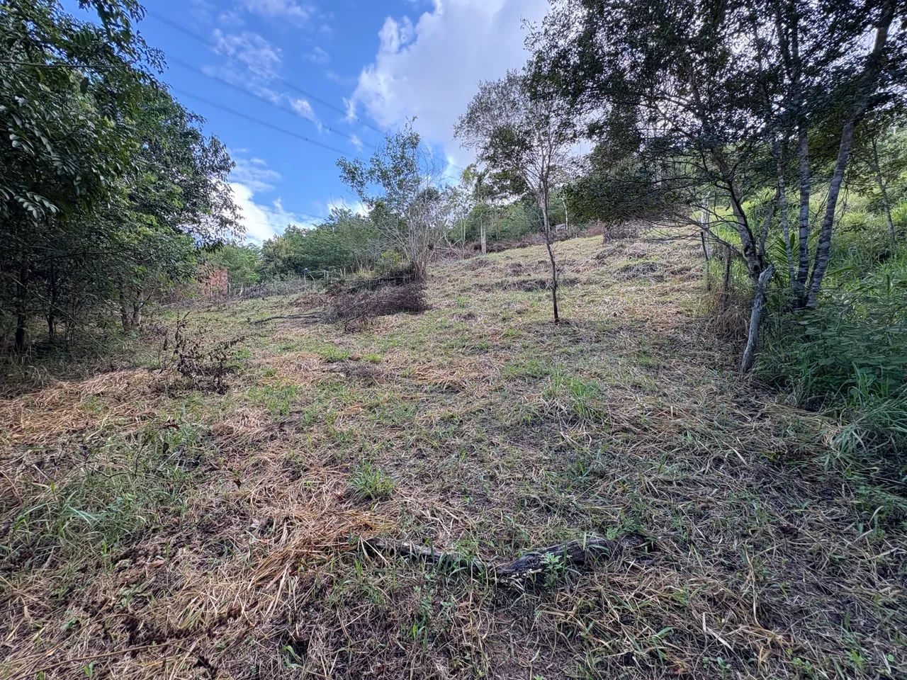 Vendo terreno em catu-BA - Foto 4