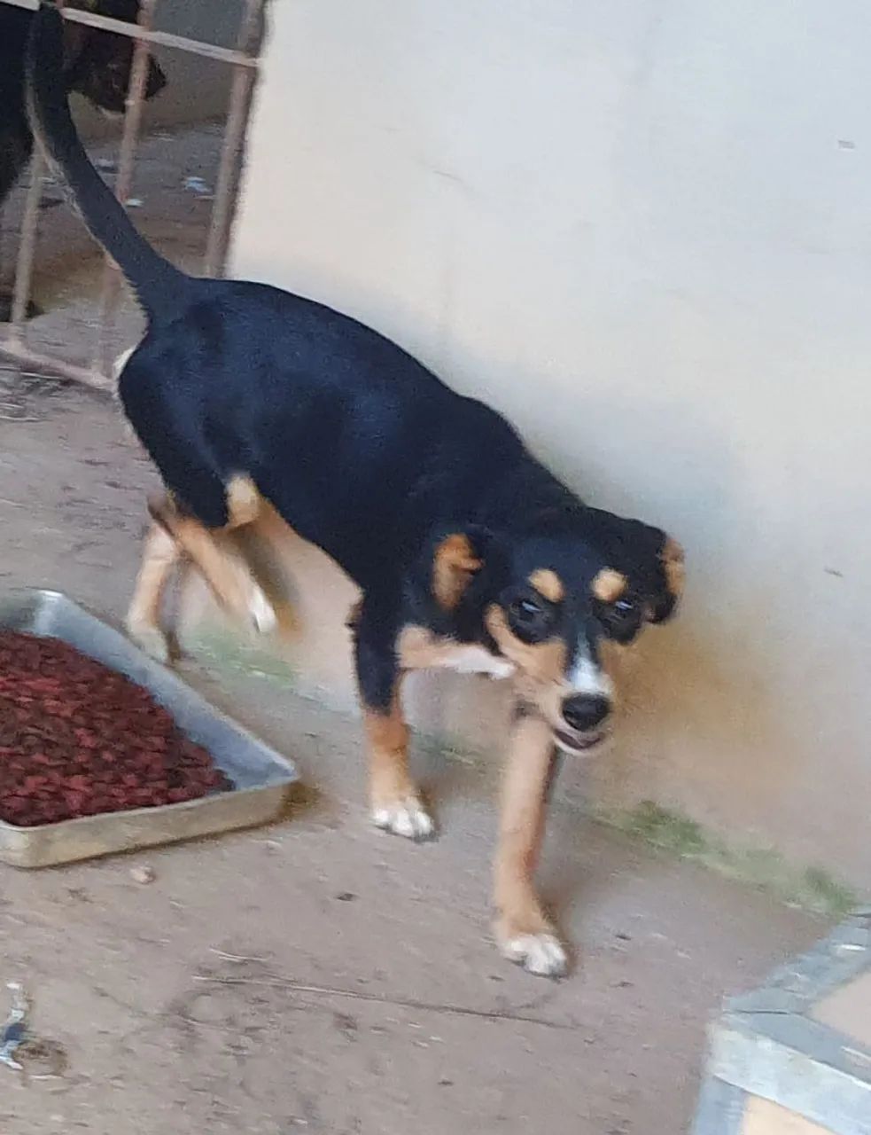 Doação - Foto 3