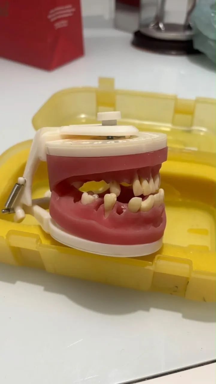 Manequim de perio e dentistica - Foto 2