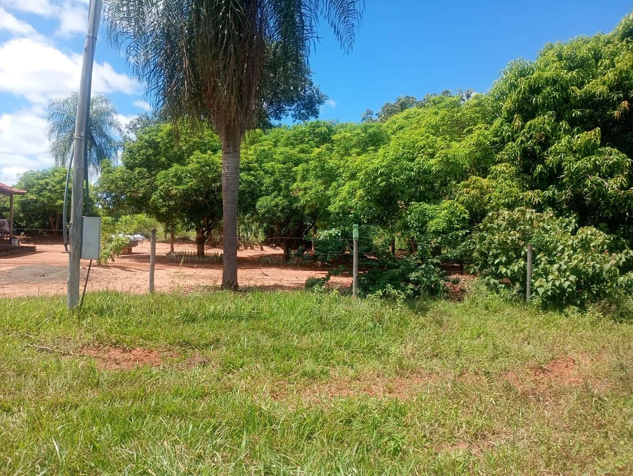 Vendo Sítio 5 alqueires Anaurilandia MS - Foto 3