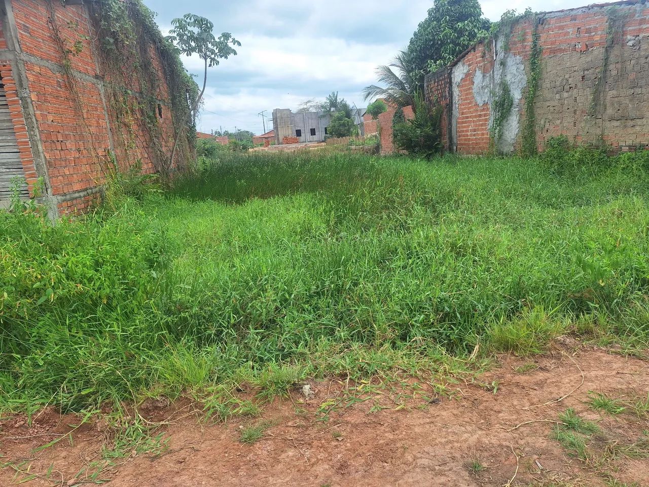 Vende-se esse terreno  - Foto 3