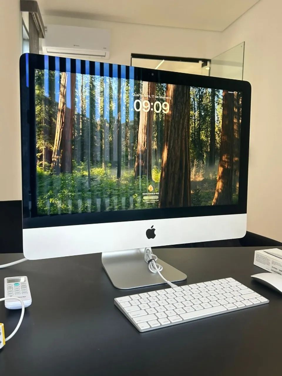 iMac 21,5
