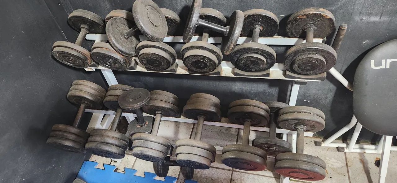 Halteres musculação